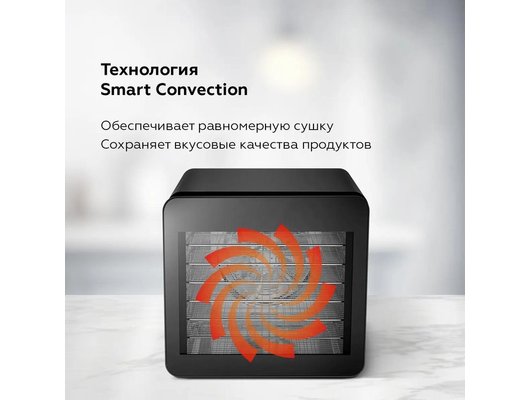 Сушилка BQ FD1006 Black-Steel